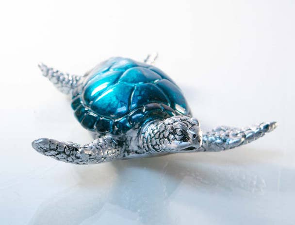 Blue Turtle 4"