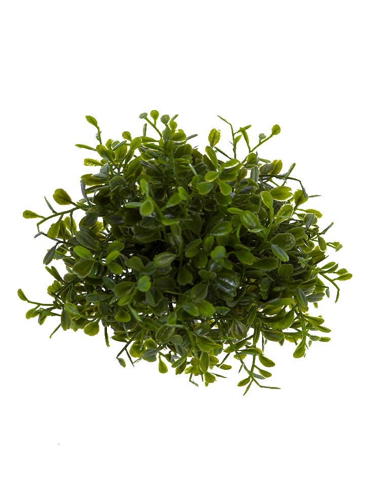 4" BOXWOOD BALL