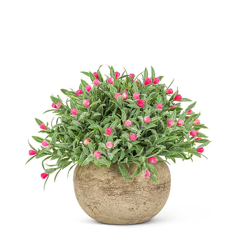 Small Pink Flowering Plant Pot-5.5" H