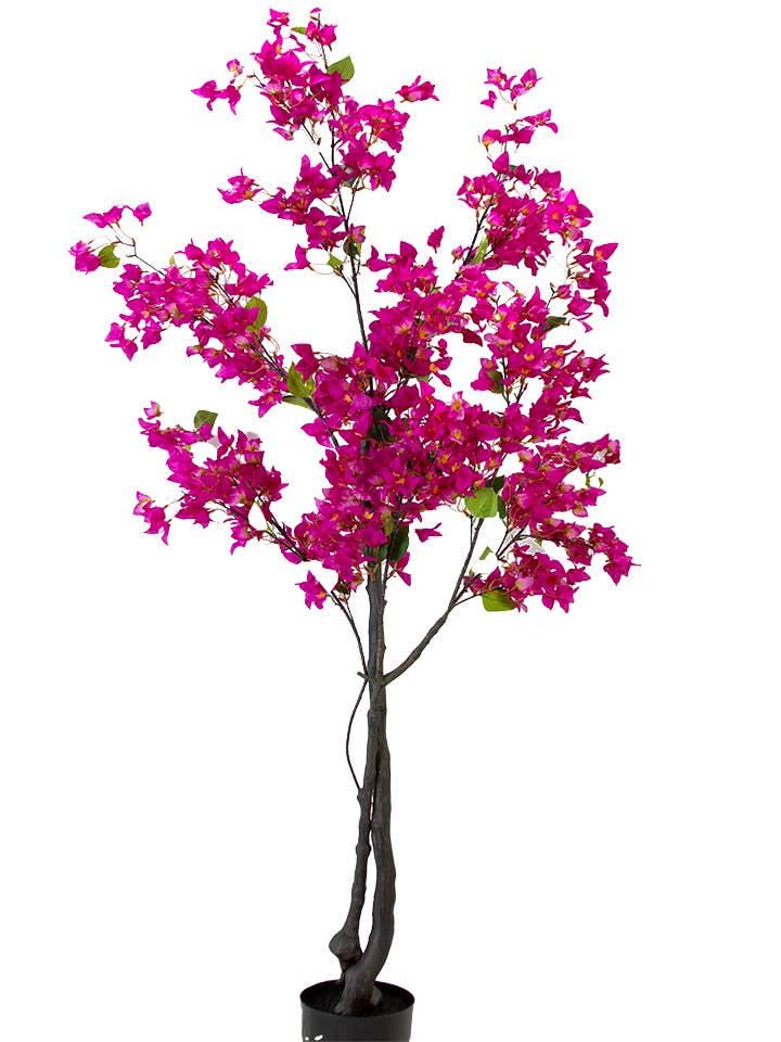 73" BOUGAINVILLEA POTTED TREE