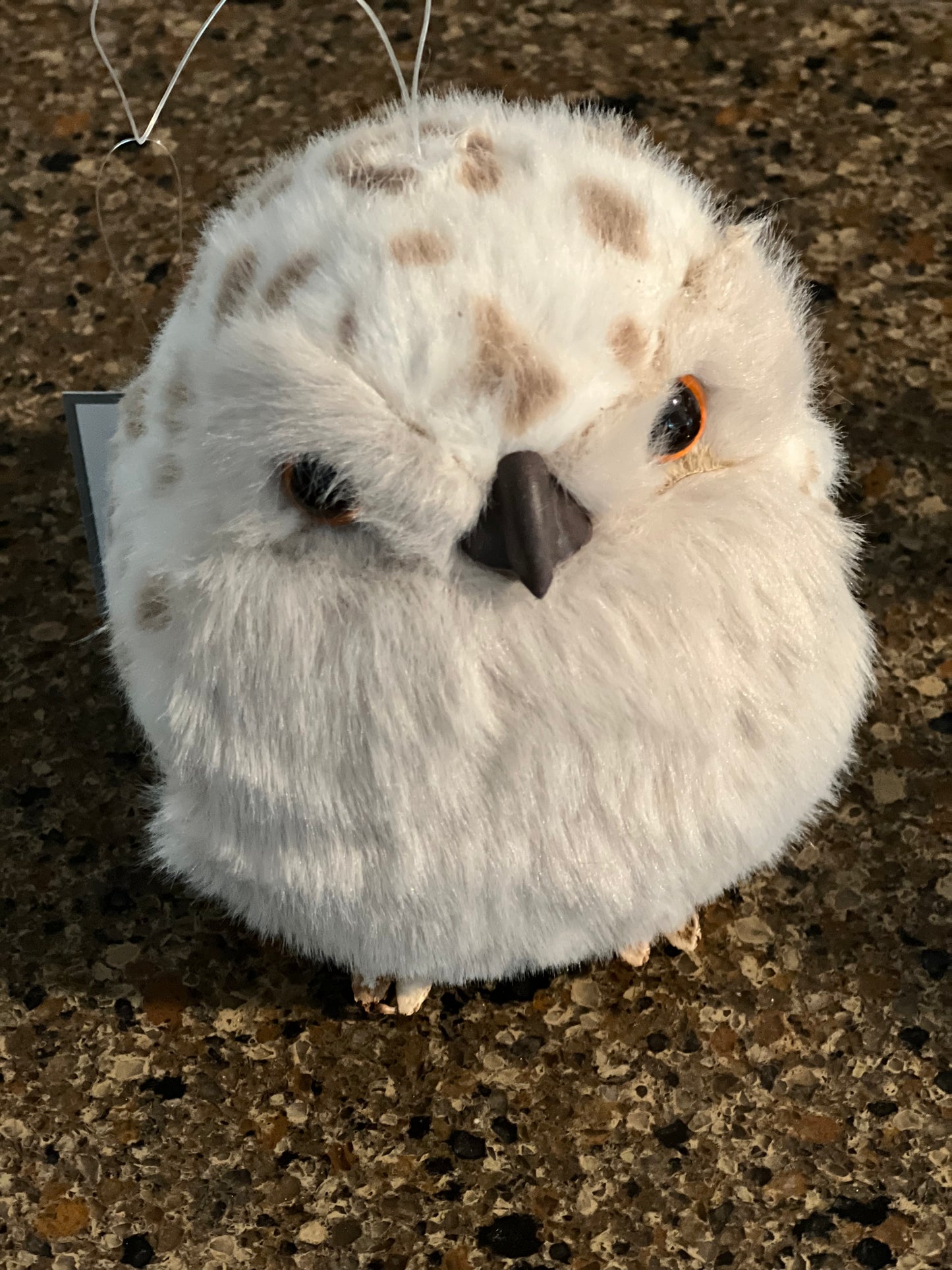 White Spotted Owl - Fluffy and Soft