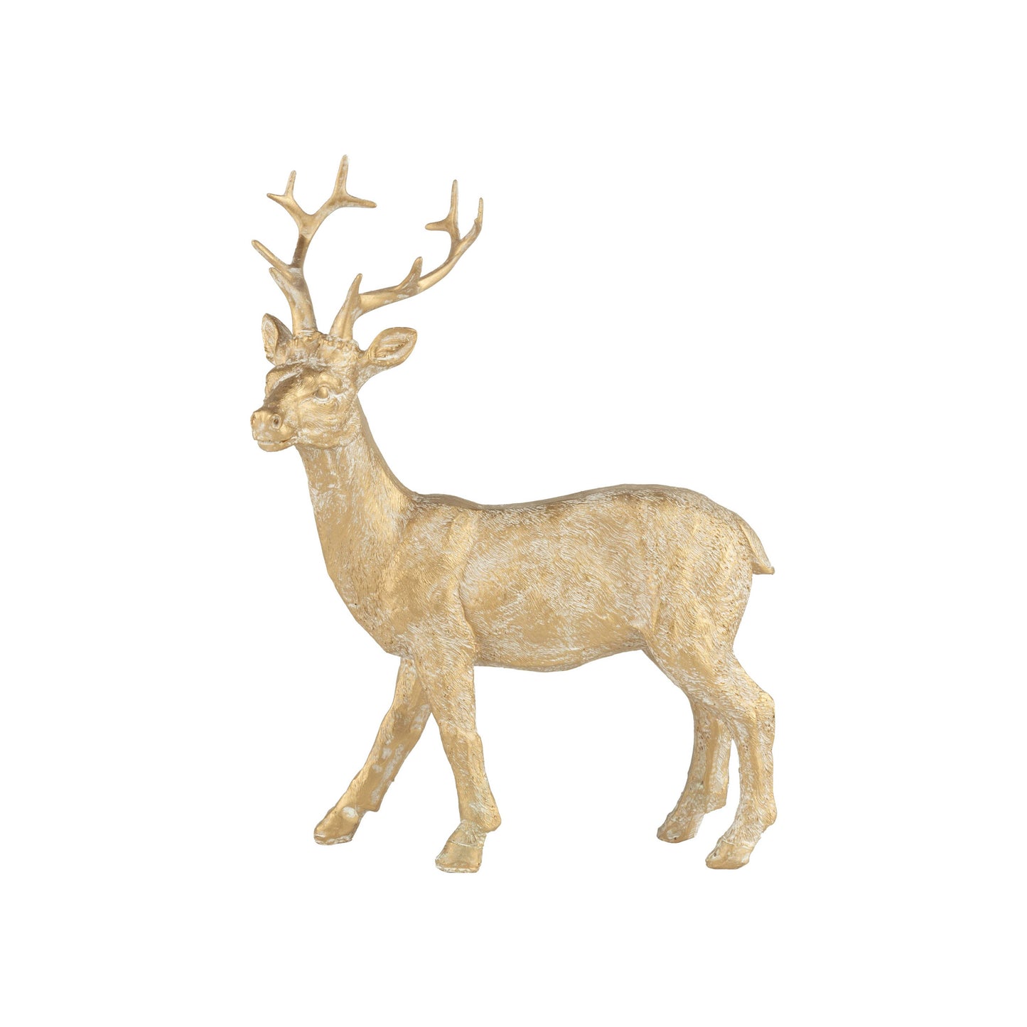 Standing reindeer,gold with white wash
