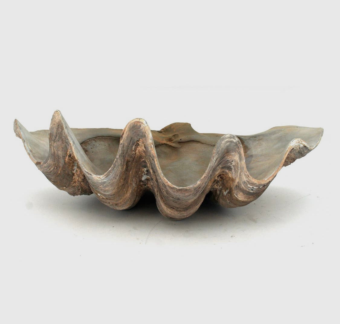 Fossilized Clam Bowl