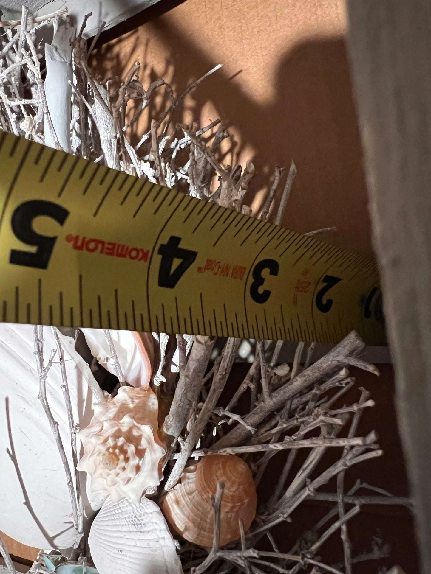 Beaufort Coastal Seashell Wreath