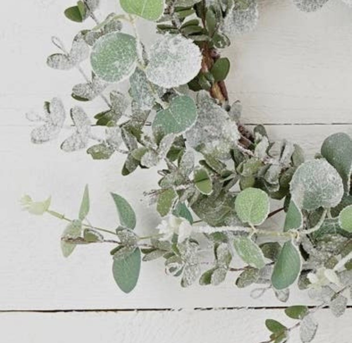 Snowy Flocked Mixed Eucalyptus Wreath