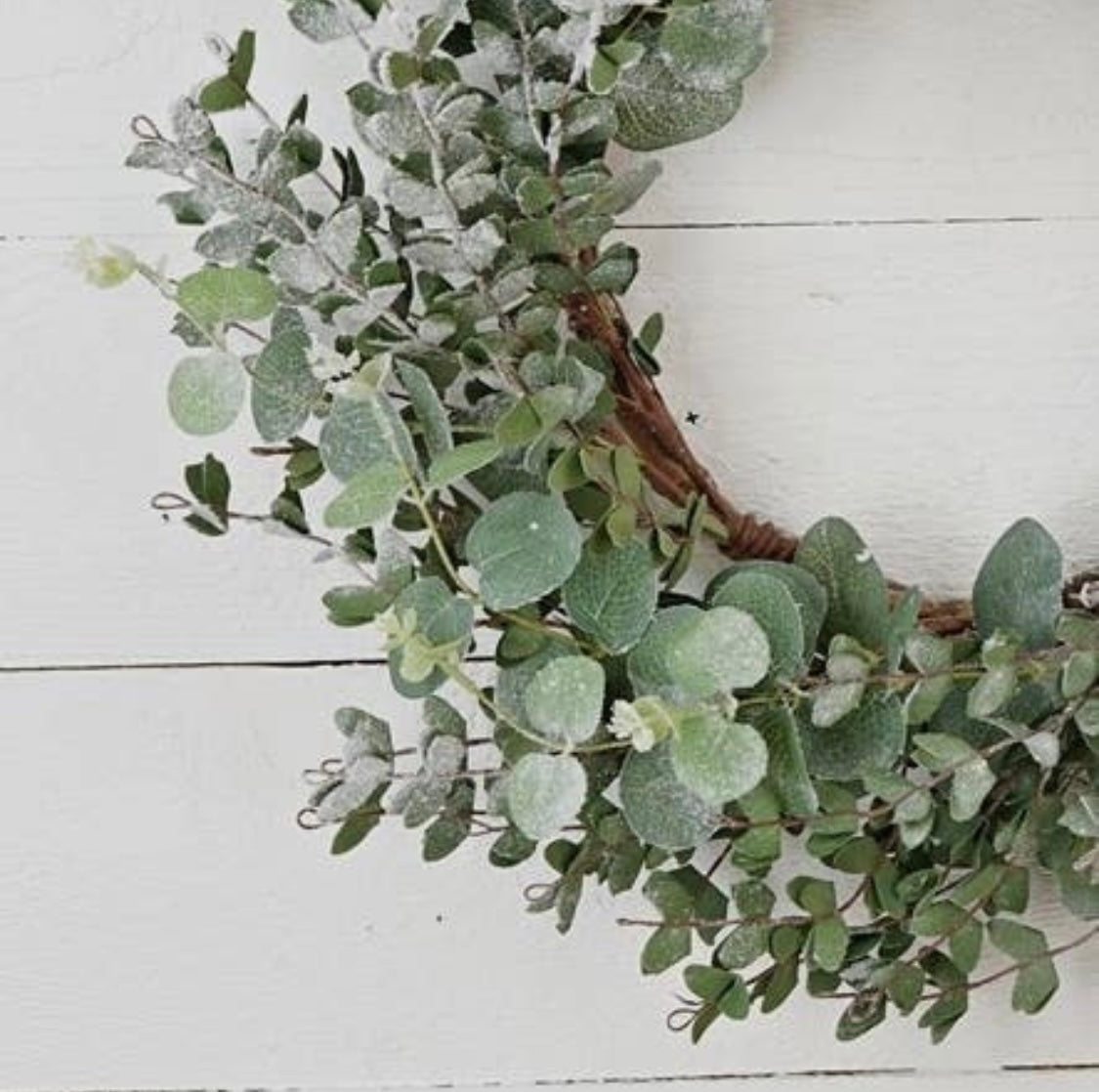 Snowy Flocked Mixed Eucalyptus Leaves Wreath