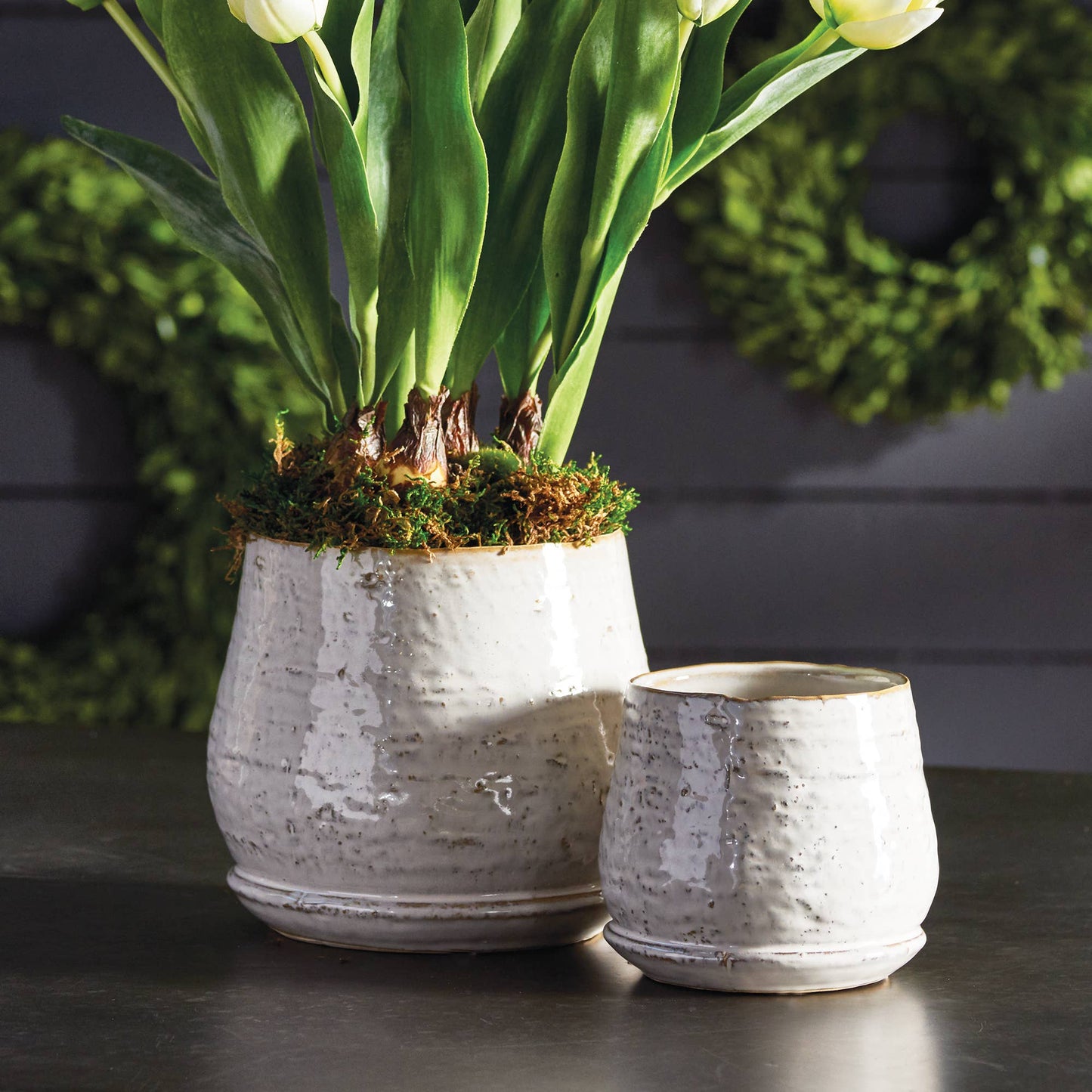 Quincy Pots, Set Of 2