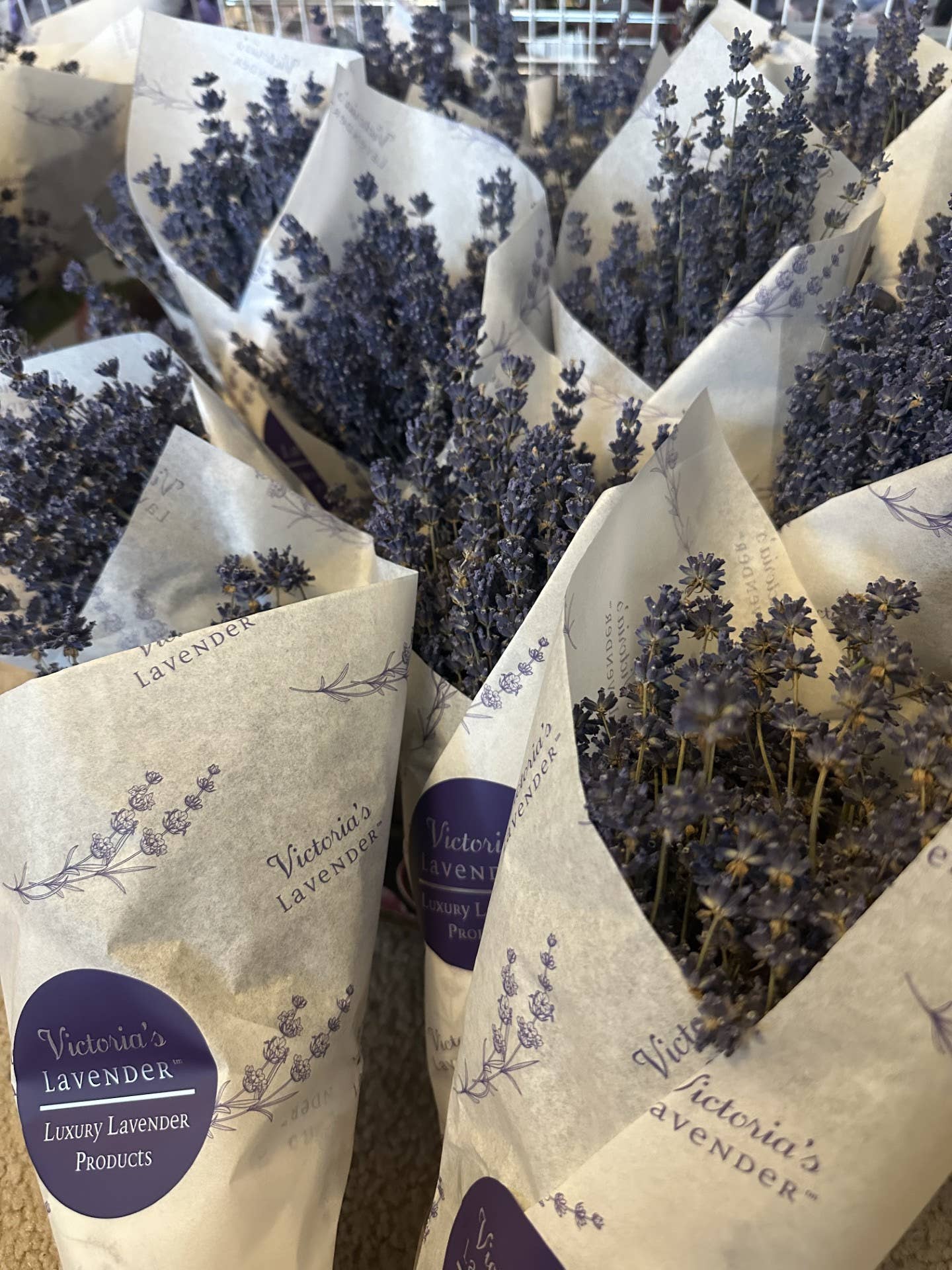 Dried Lavender Bouquets - English