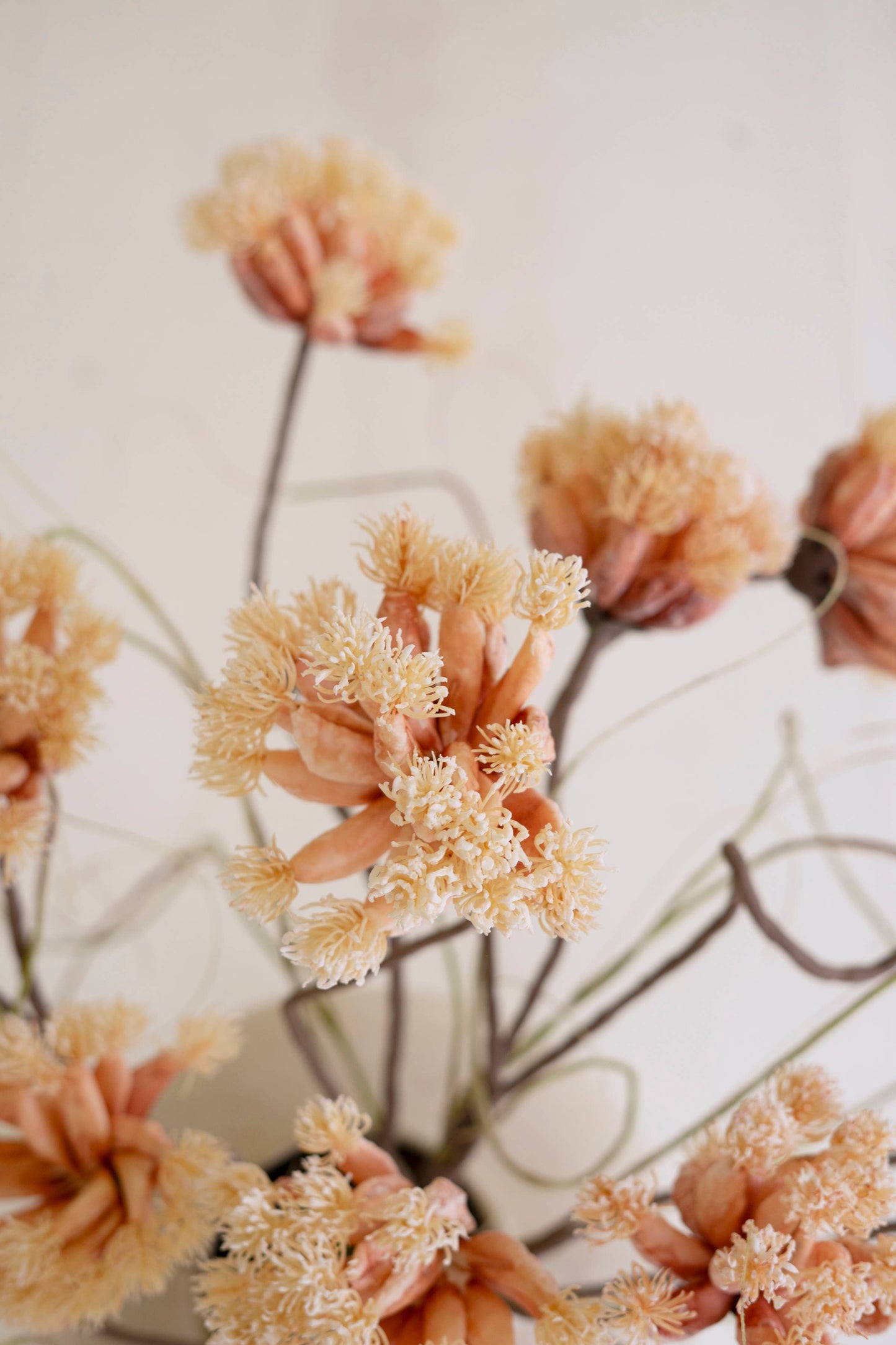 BOTANICA #2844