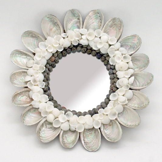 Abalone with Clamrose Shell Wall Mirror