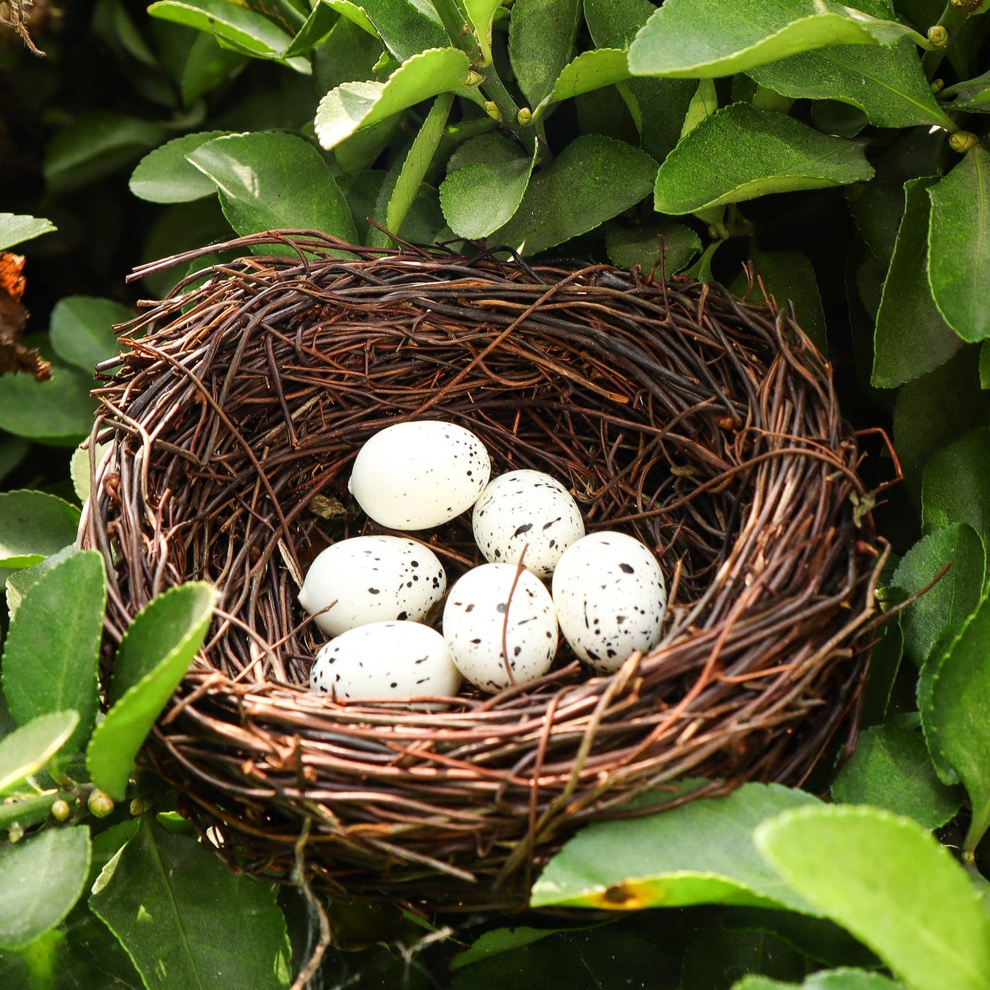 Handmade Bird Nest with Realistic Eggs (1 Nest with 3 eggs)