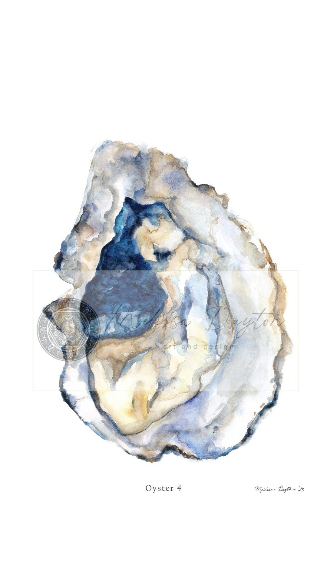 Oyster 4 Watercolor art print