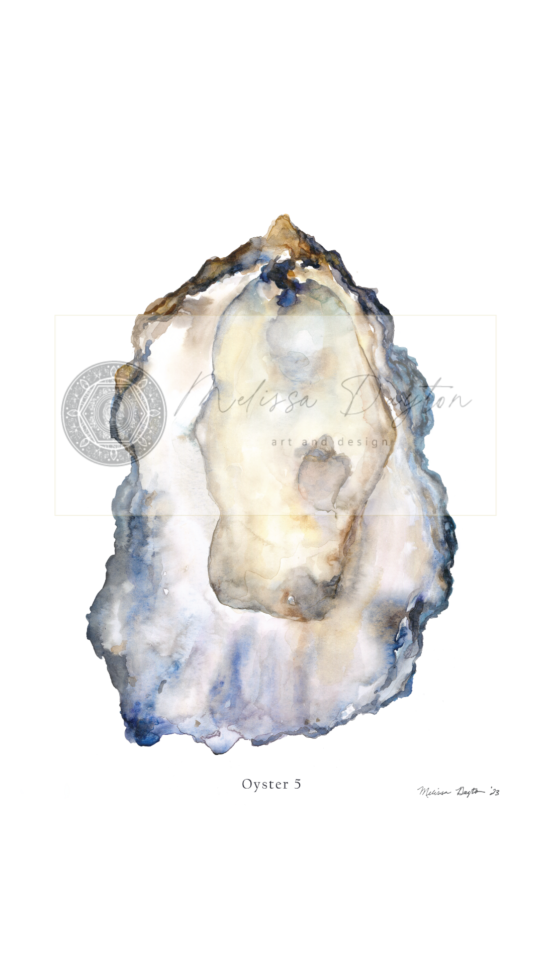 Oyster Fine Art Prints- set 6 (unframed)