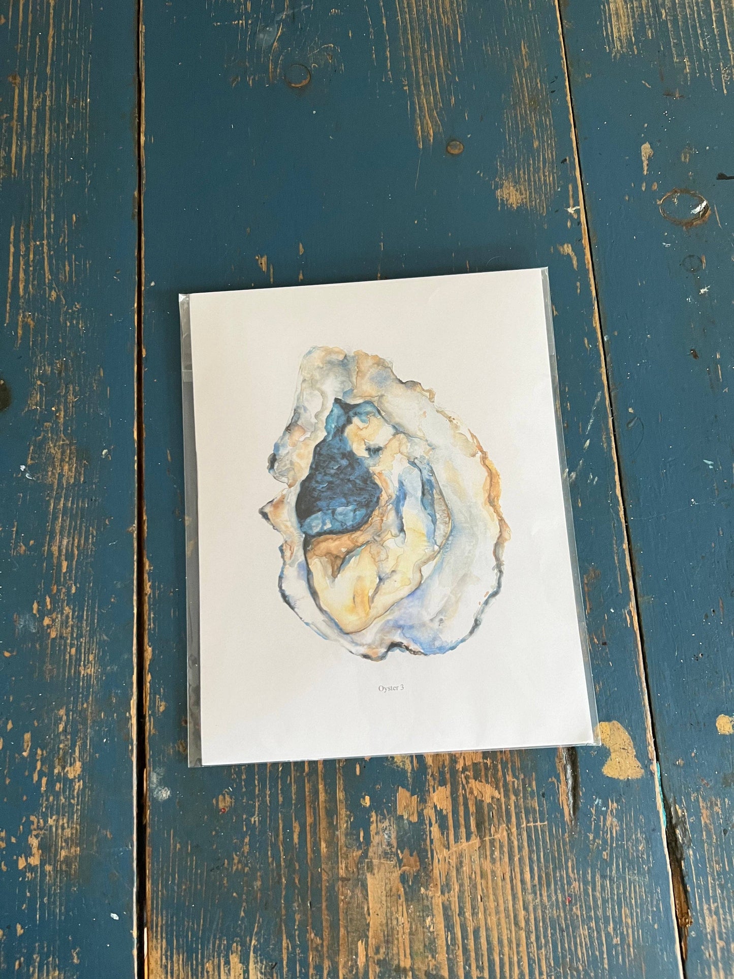 Oyster 4 Watercolor art print