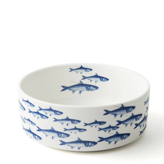 School of Fish Medium Dog Bowl