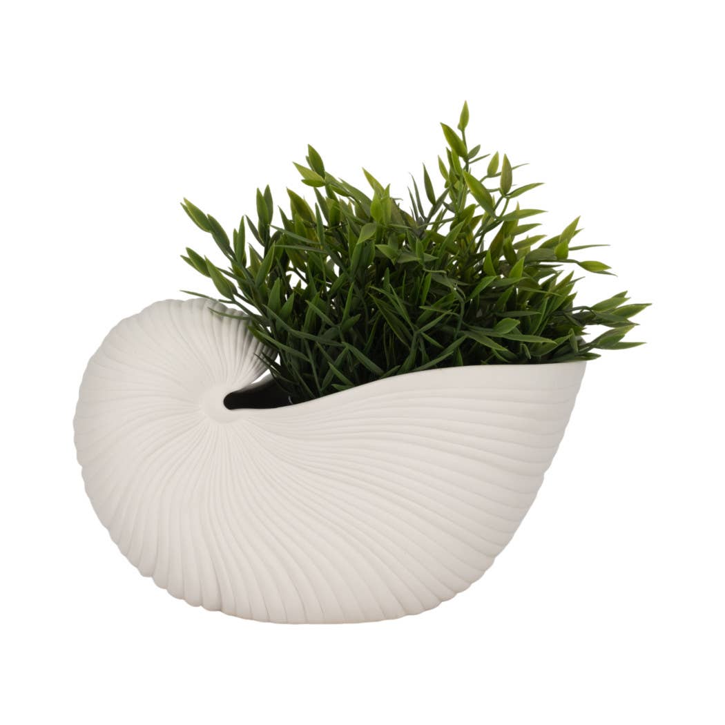 Decorative Figurine - White Ceramic Nautilus Shell, 10 in.