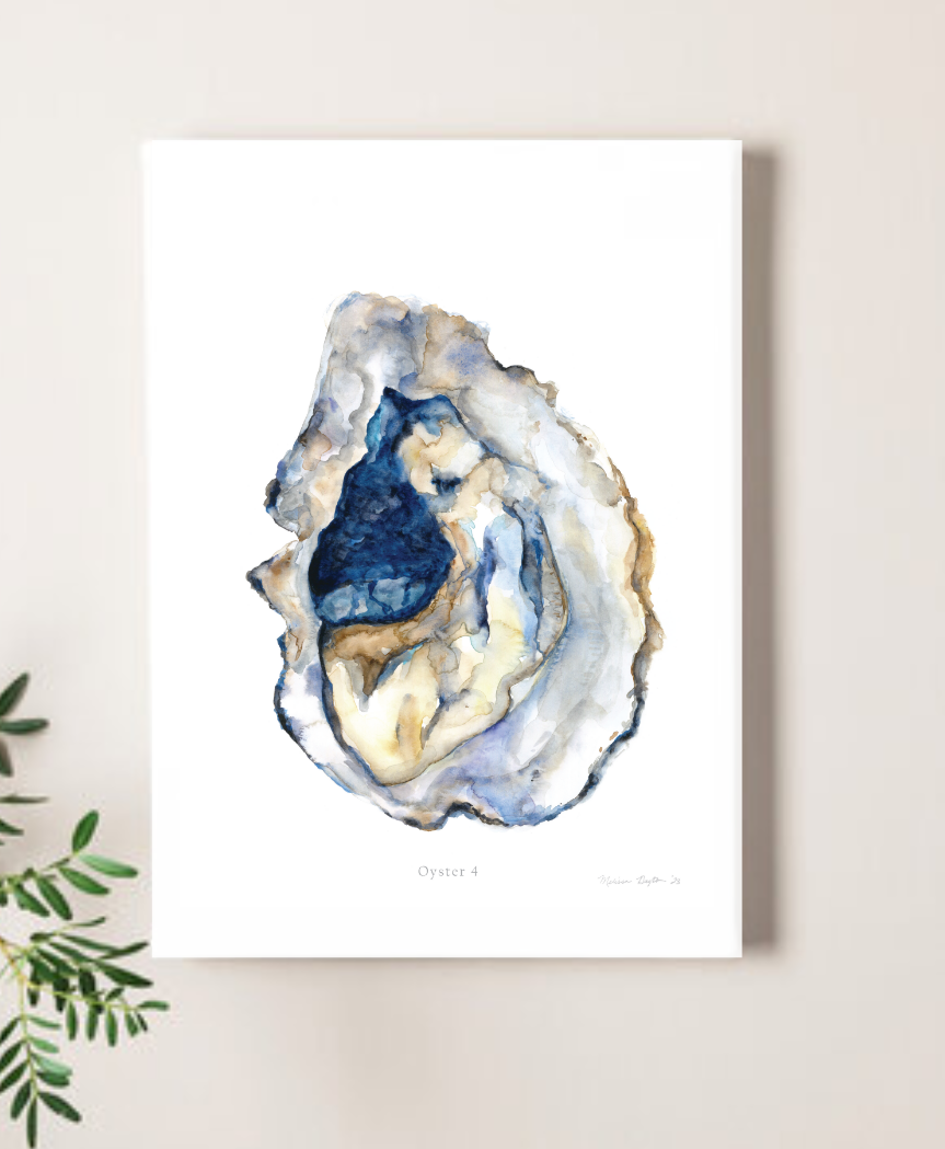 Oyster 4 Watercolor art print
