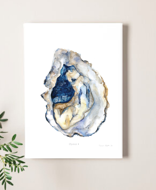 Oyster 4 Watercolor art print