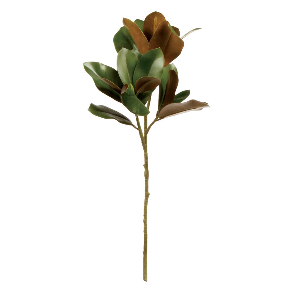 Grand Magnolia Leaf Stem 32"