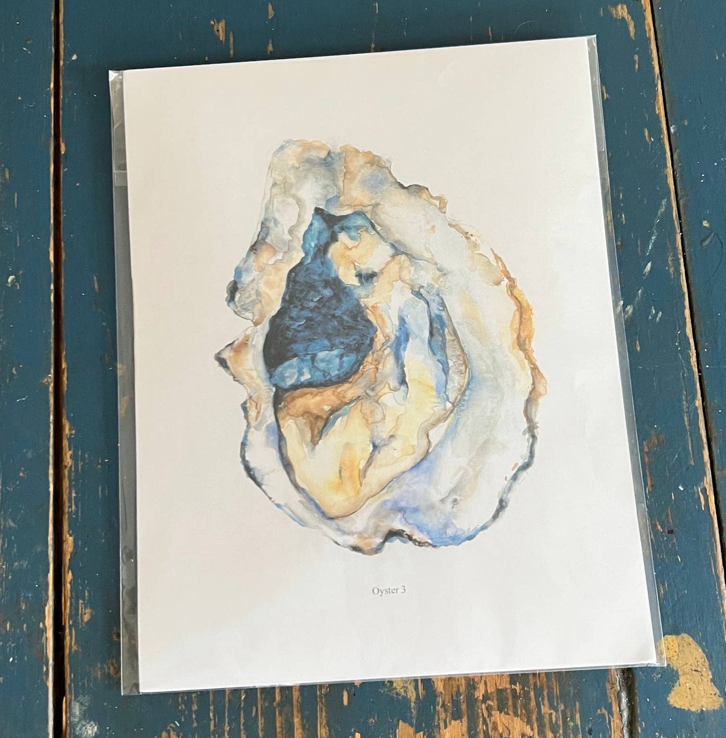 Oyster Fine Art Prints- set 6 (unframed)