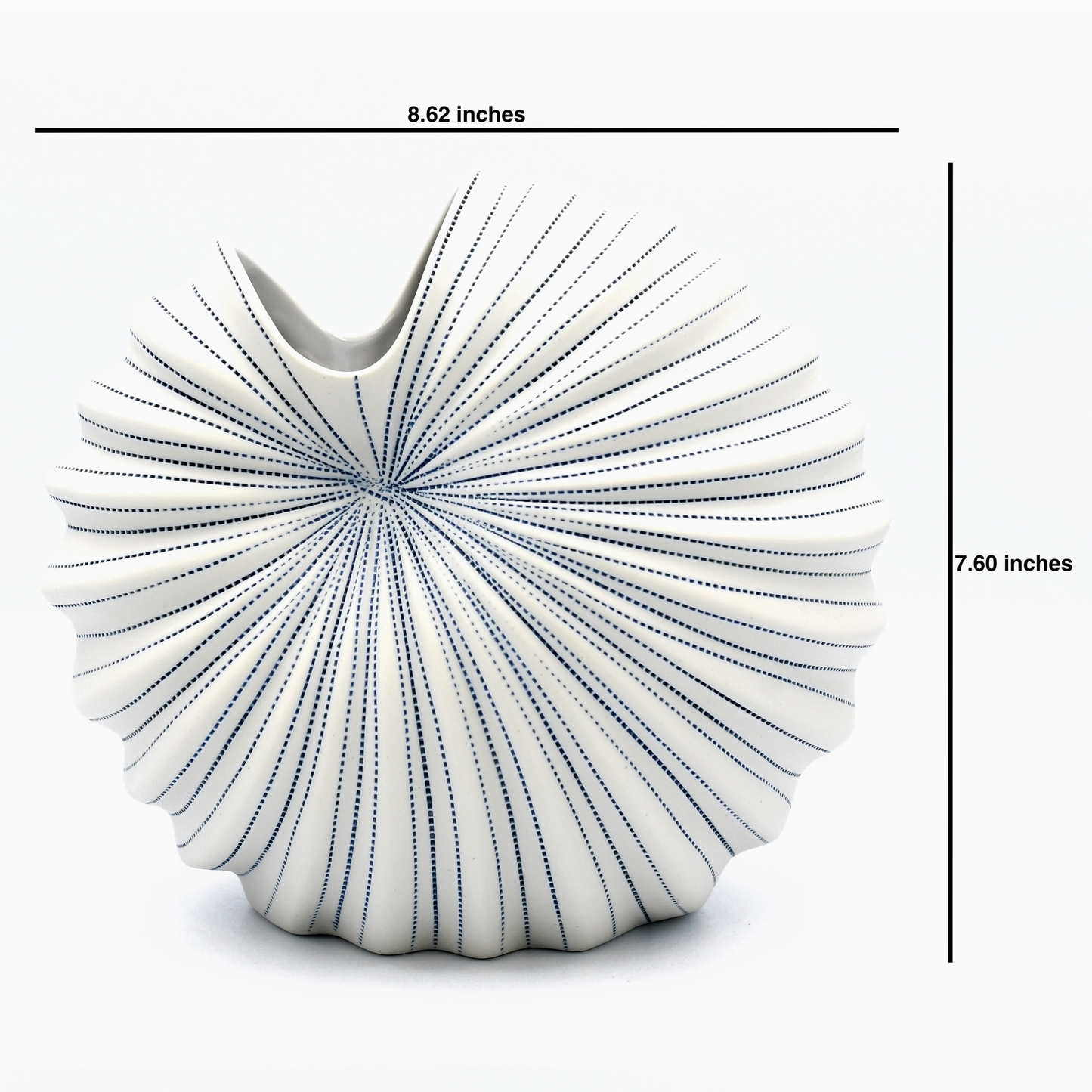 Striped White Cockle Vase