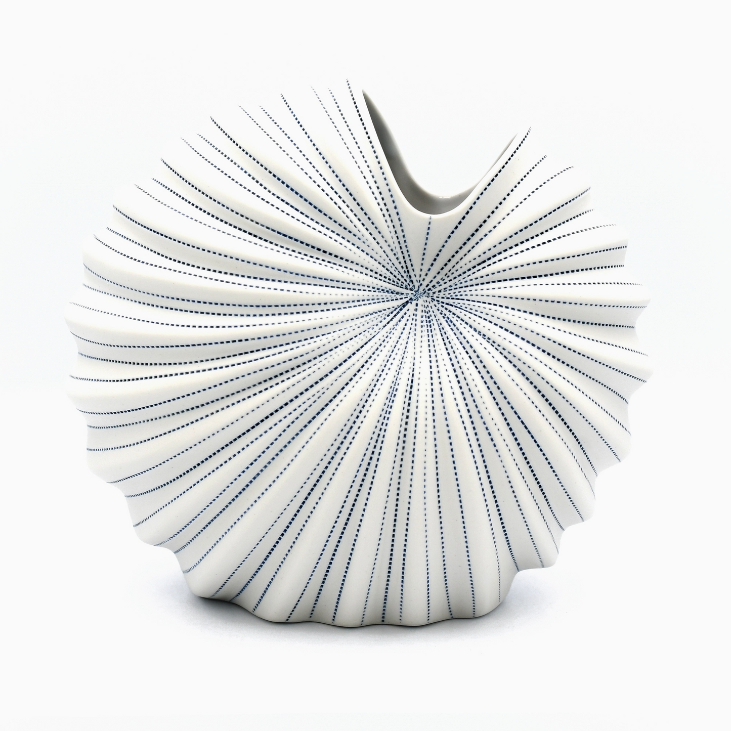 Striped White Cockle Vase