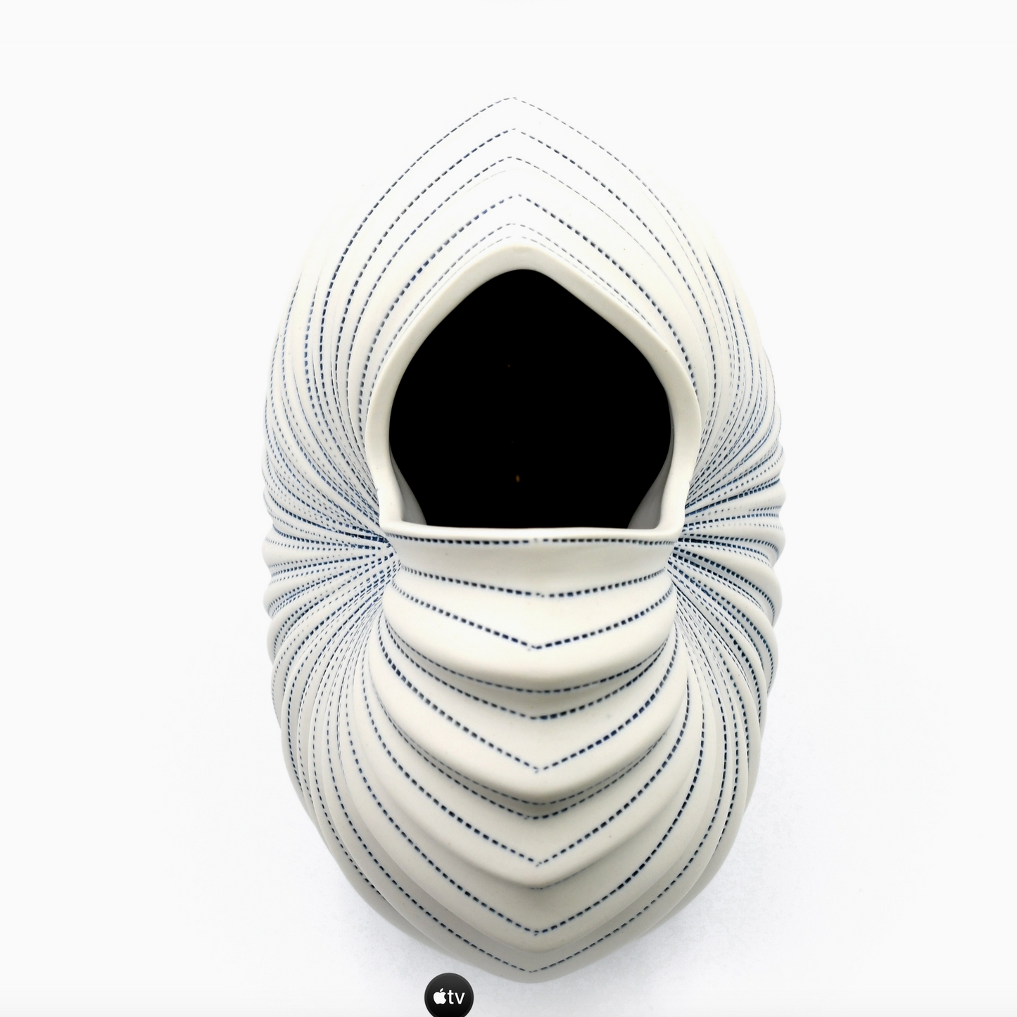 Striped White Cockle Vase
