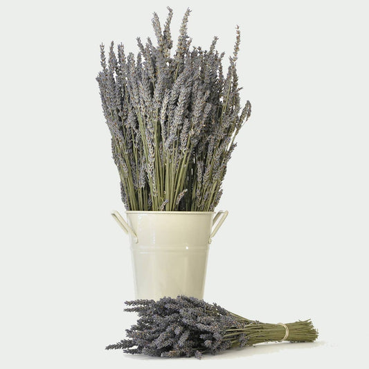 Dried Lavender Bouquets - French