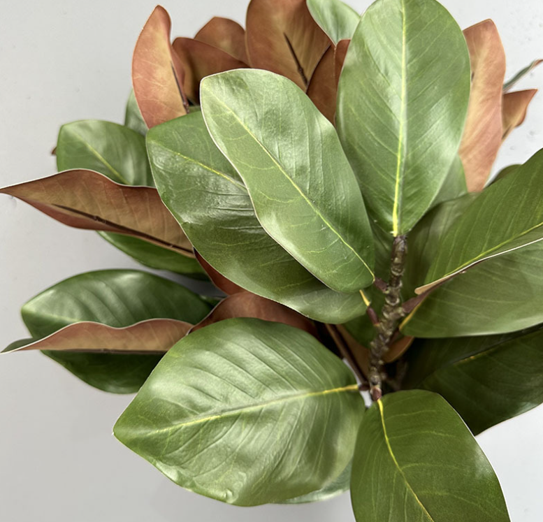 Nature Touch Faux Magnolia Leaf Branch, 22 inches