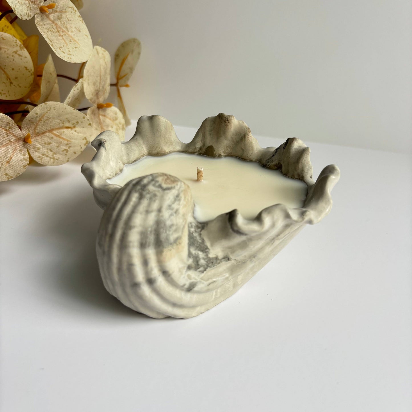 Candle - Selene - Shell Candle