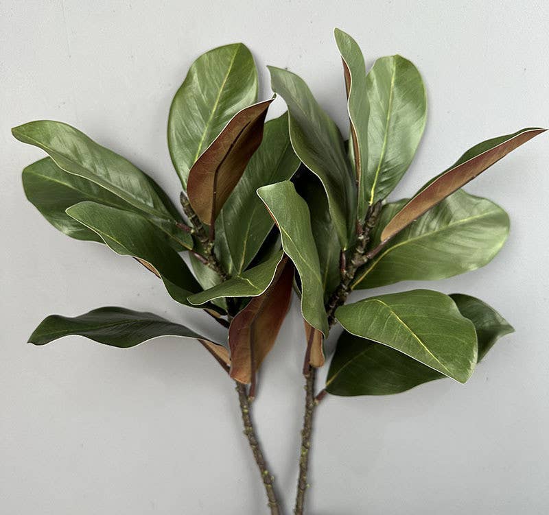 Nature Touch Faux Magnolia Leaf Branch, 22 inches