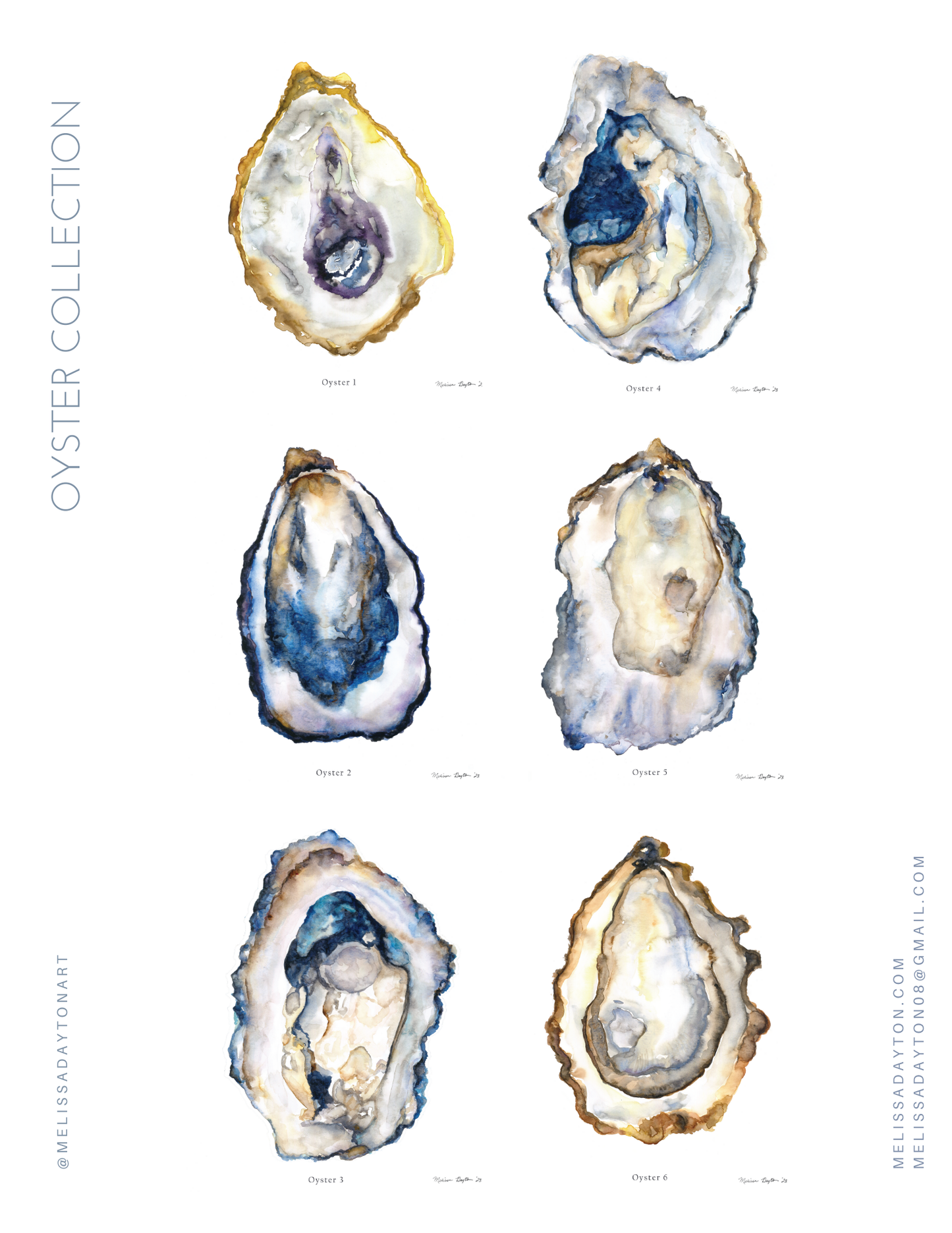 Oyster Fine Art Prints- set 6 (unframed)