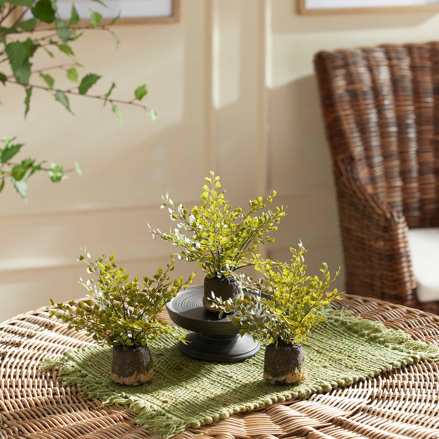 Maidenhair Fern Drop-Ins, Set Of 3