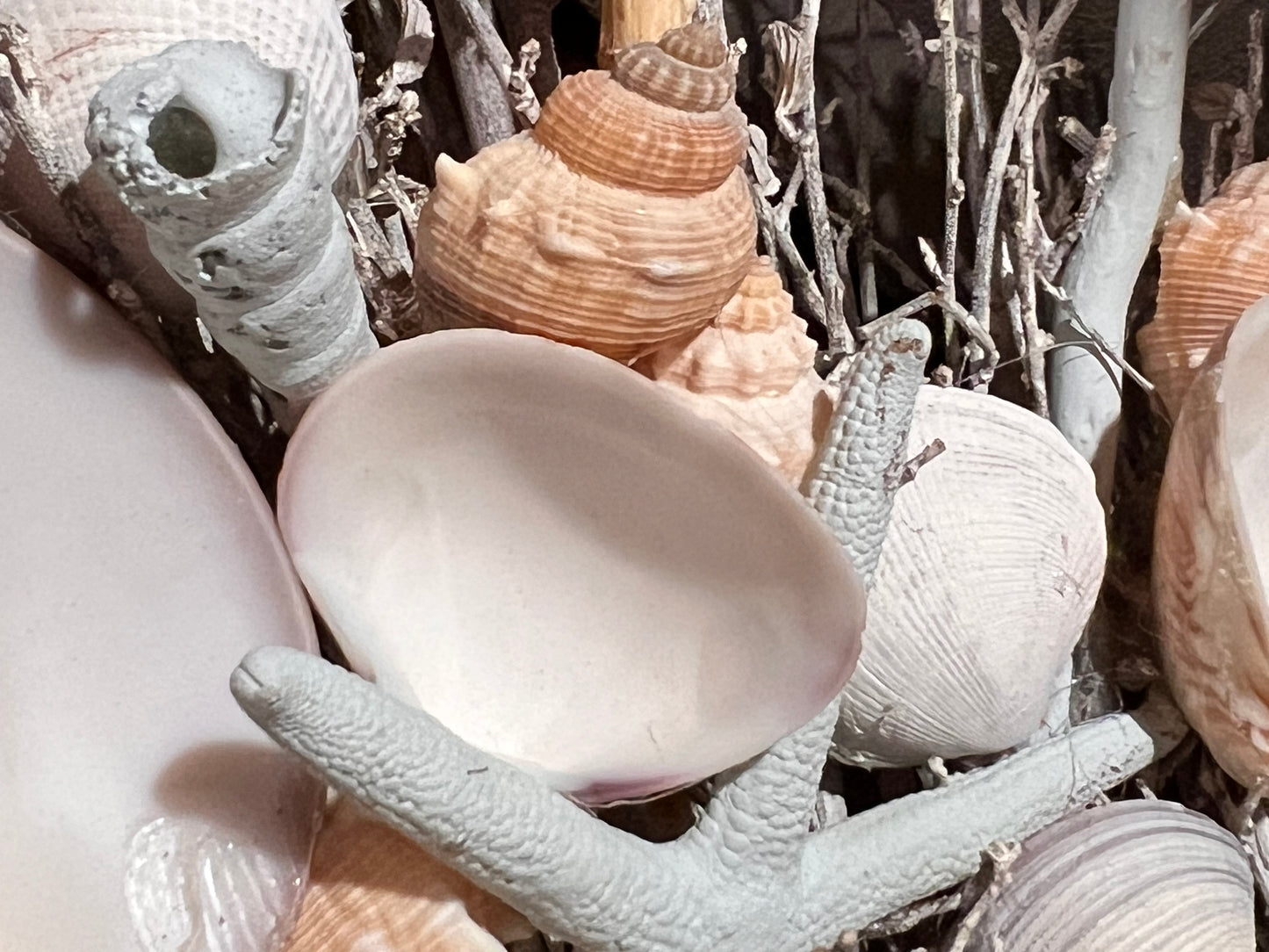 Beaufort Coastal Seashell Wreath