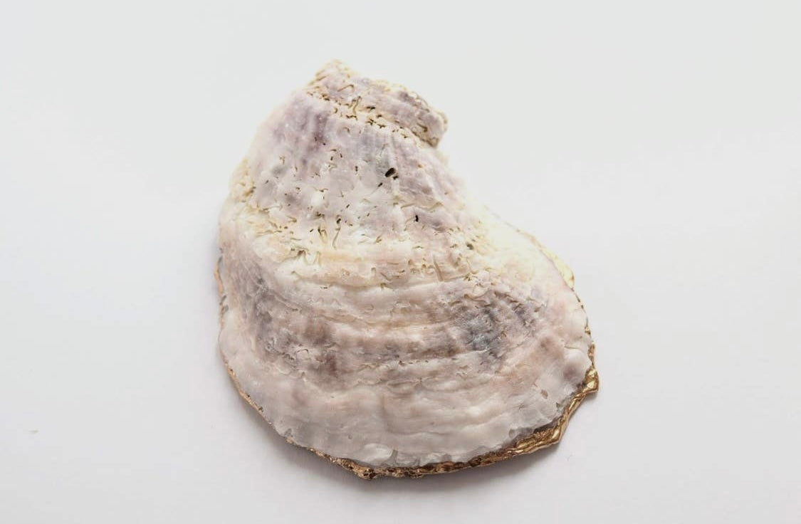Oyster Shell Trinket Ring Dish - Something Blue